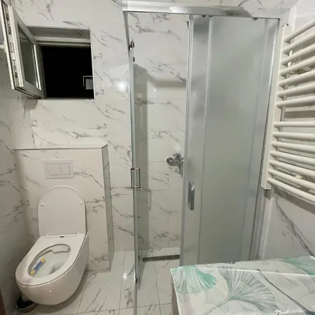 Orlovic Apartment