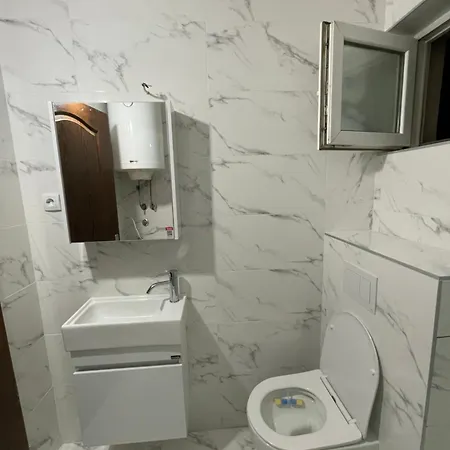 Apartment Orlovic